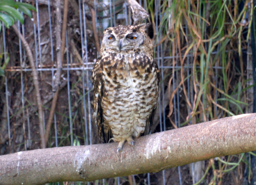 World of Birds Wildlife Sanctuary.